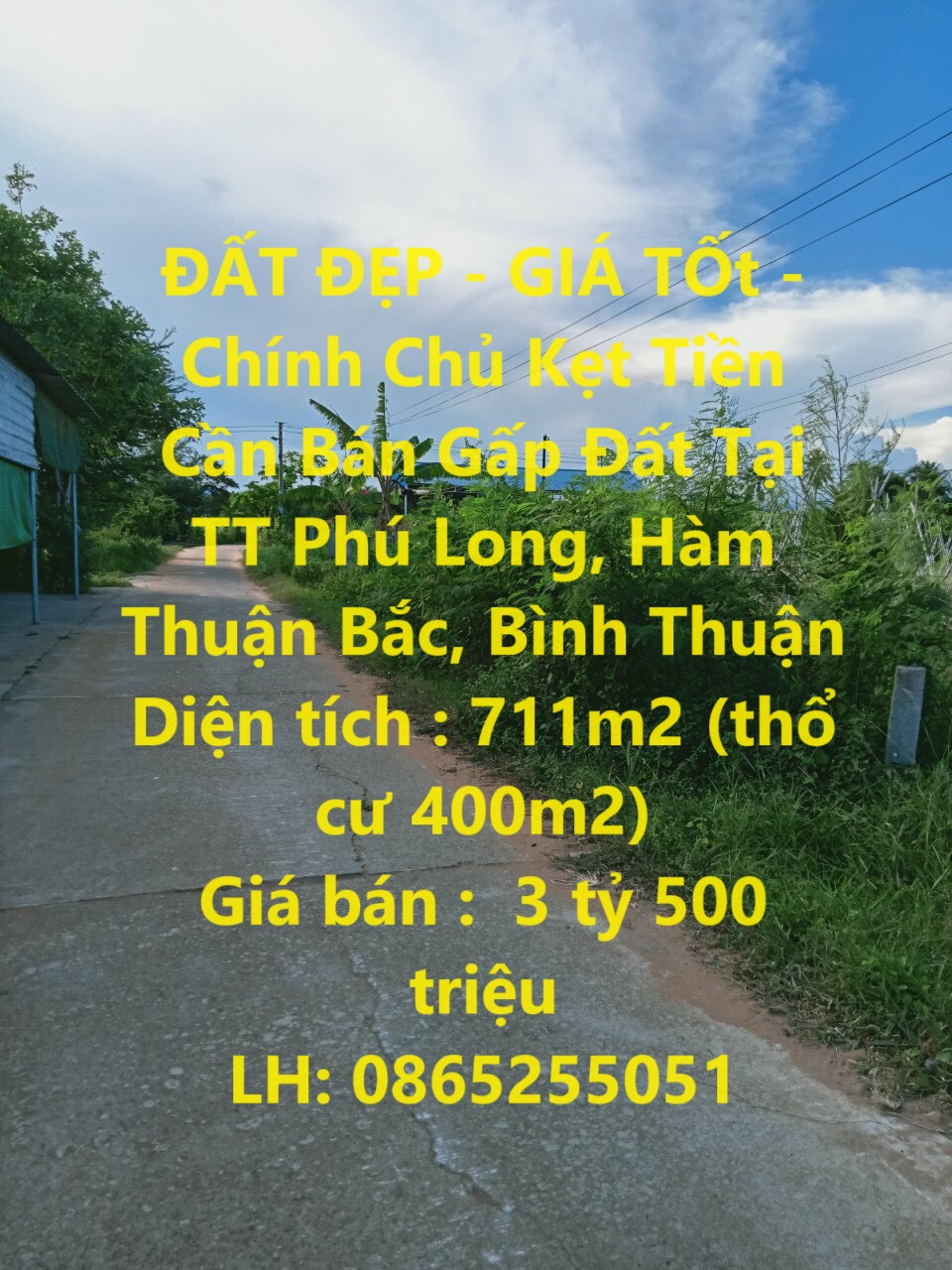 ĐẤT ĐẸP - GIÁ TỐt - Chính Chủ Kẹt Tiền Cần Bán Gấp Đất Tại TT Phú Long, Hàm Thuận Bắc, Bình Thuận - Ảnh chính